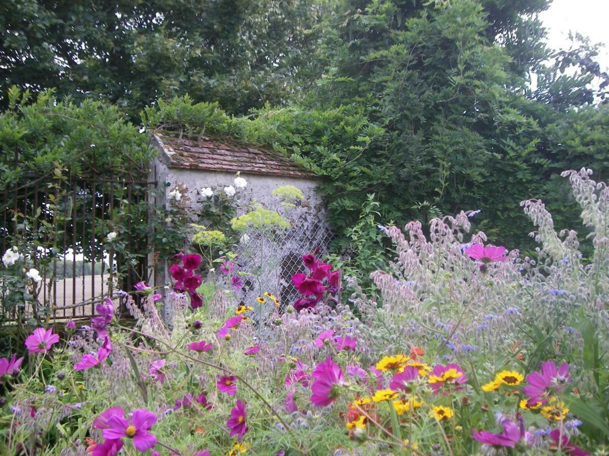 La Ferme Le Merger Bed and Breakfast La Ferté-Gaucher Esterno foto